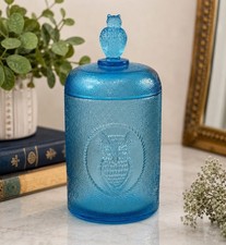 Vintage Blue Owl Textured Glass Apothecary Ca...
