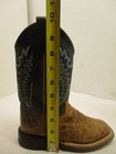 Picture 11 of 13