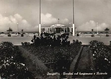 Vintage PPC - Senigallia - Giardini sul lungomare e Rotonda - F27266
