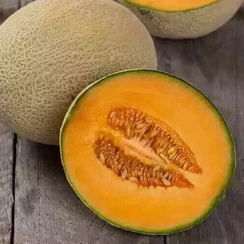 25+ --Hales Best --Heirloom Cantaloupe Seeds --Non-GMO -- Free Shipping USA - Picture 5 of 6