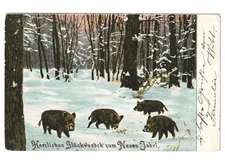 Primi '900 bosco innevato cinghiali cartolina Buon Anno Neujahr