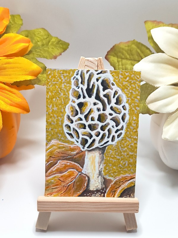 ACEO Original Acrylic Painting Art Card Botanical 2.5 x3.5 Woodland Morel