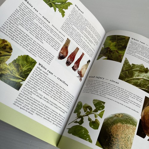 What Garden Pest or Disease is That Judy McMaugh Undated & Revised PB 2010 - Picture 3 of 13