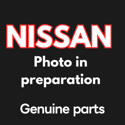 BLITZ Genuine SUS POWER INTAKE KIT For NISSAN SKYLINE GT-R RB26DETT 26024 BNR34