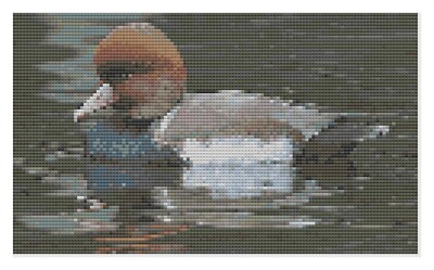 Duck on Water Cross Stitch Kit or Pattern by Florashell