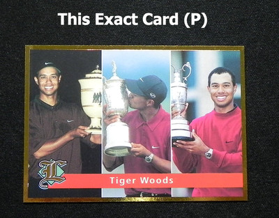 Tiger Woods 2001 Legends Grand Trophies Card _ Exact Card (P)