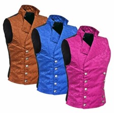 Men's Steampunk Double-breasted Waistcoat Vest Gothic/Western-Reenactment/USA