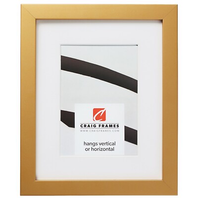 Craig Frames Confetti, Modern Gold Picture Frame With a Single Mat