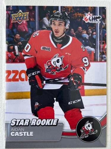 2021-22 UD CHL Base Stars / Star Rookies #301 to #449 Pick From List !! - Picture 67 of 134