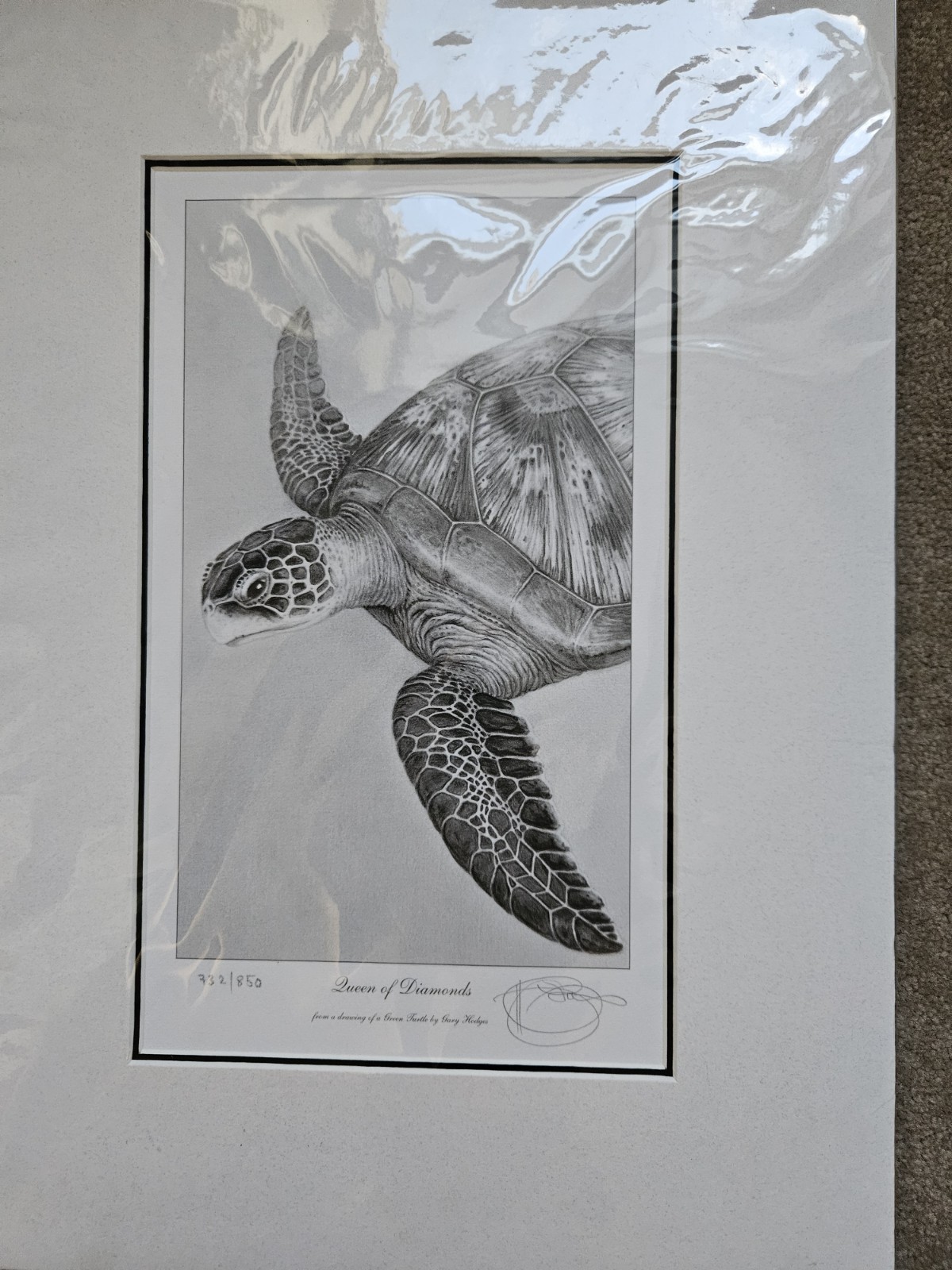 Picture 4 of 4