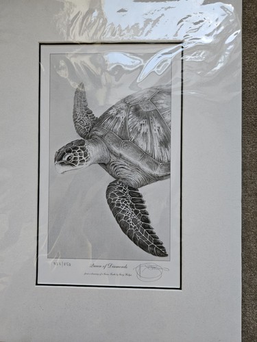Gary Hodges Limited Edition Signed ‘Queen if Diamonds’ of a Green Turtle - Picture 4 of 4