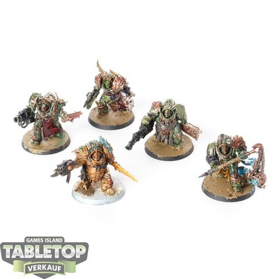 Death Guard - 5x Blightlord Terminators - bemalt