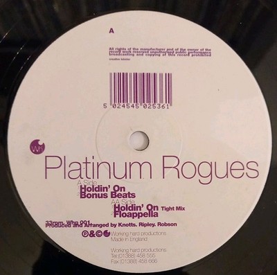 Platinum Rogues - Holdin' On (UK vinyl 12'') electronic, house