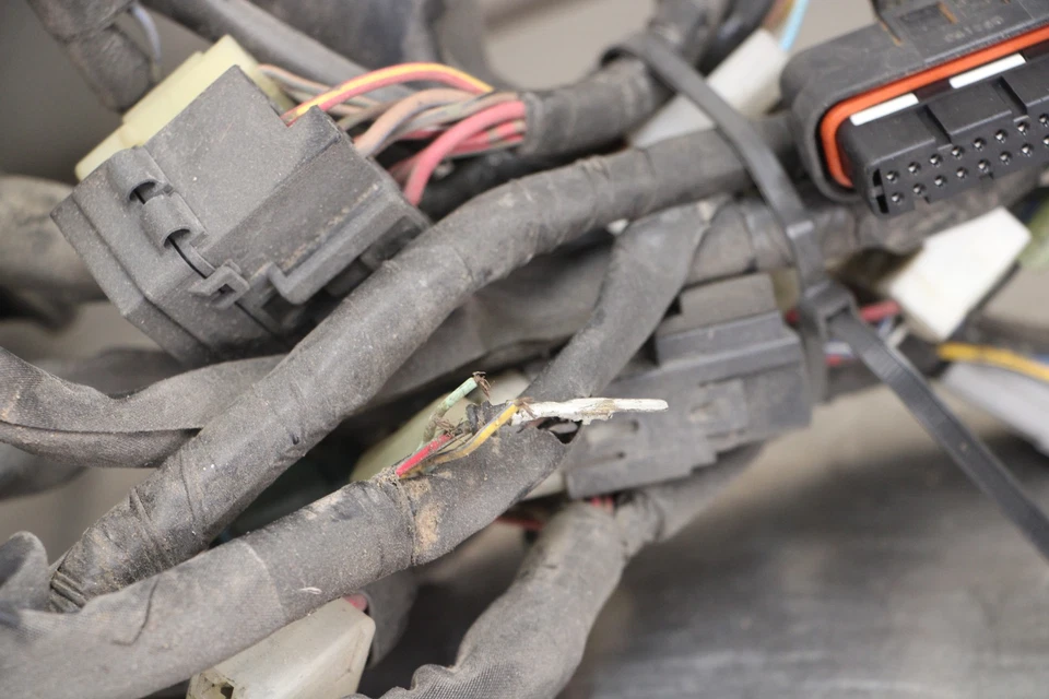 04-09 YAMAHA FZ6 MAIN ENGINE WIRING HARNESS MOTOR WIRE LOOM 5VX-82590-10-00 Foto 3 de 4