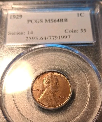 1929 Lincoln Wheat PCGS MS64 RB