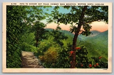 Postcard Path To Hickory Nut Falls Chimney Rock Mountain  North Carolina NC