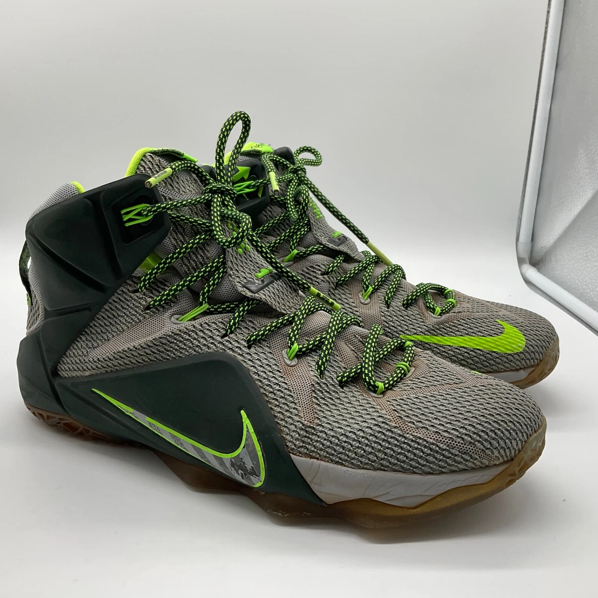 Lebron 12 top dunk force