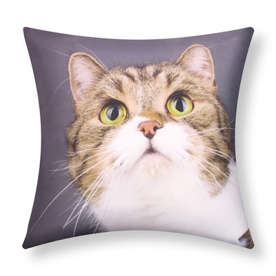 2er Set Kissenbezüge 40x40 cm Motiv Katze Schnurrbart