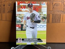 Shawn Goosenberg, Chicago White Sox - 2025 Unique MiLB Card