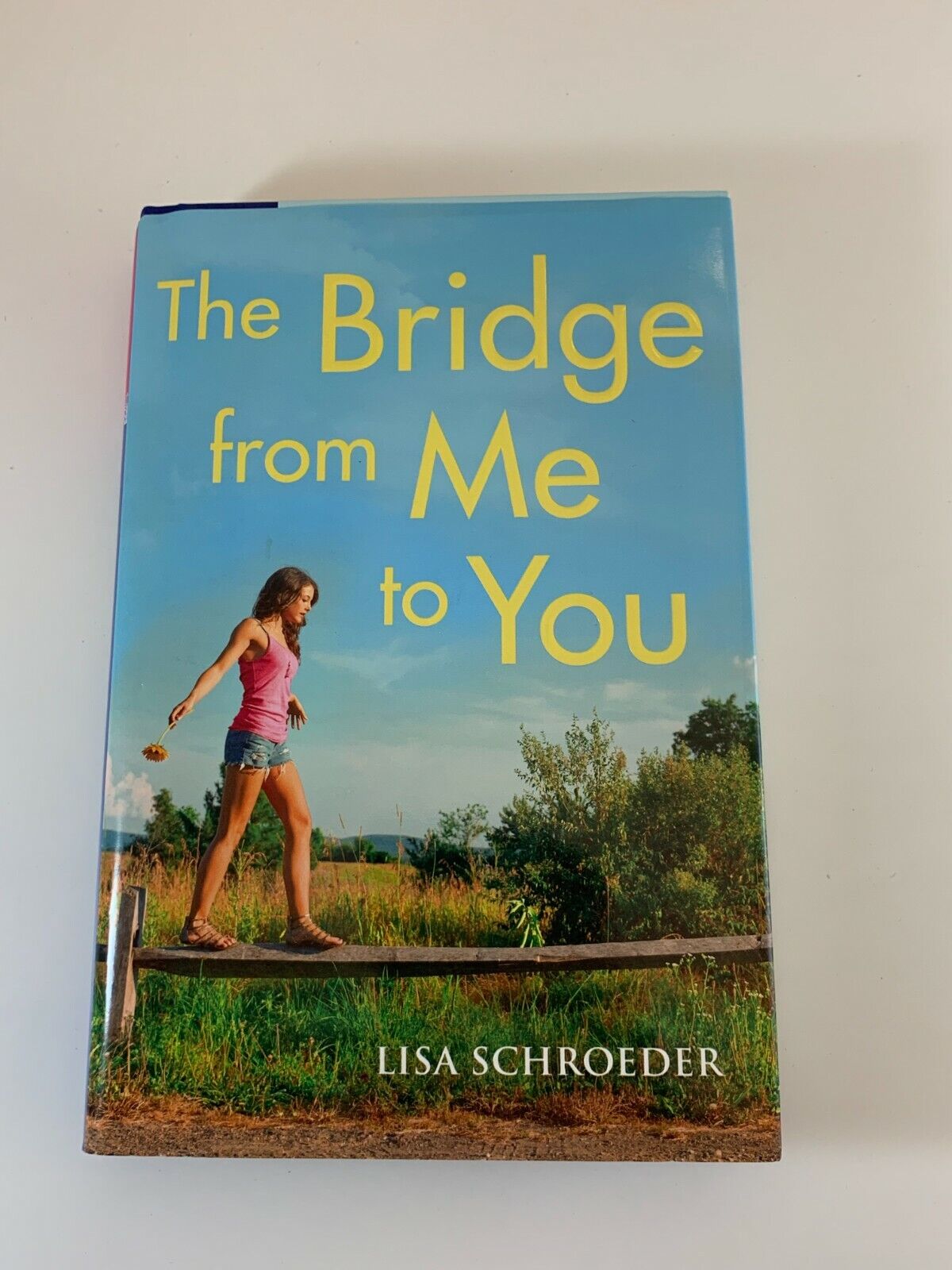 The Day Before, Book by Lisa Schroeder, Official Publisher Page