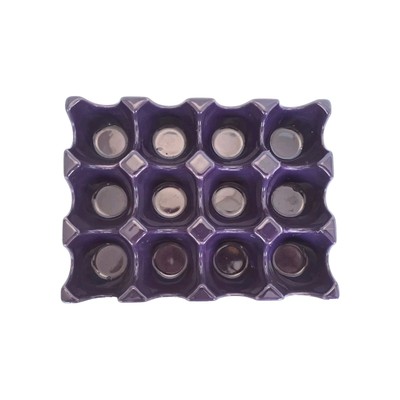 Rachel Ray Purple Ceramic Egg Holder Refrigerator Storage Easter