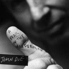A Year in the Wilderness von John Doe | CD | Zustand gut