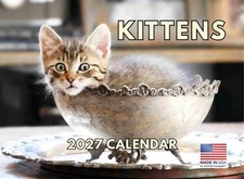 Kitten Calendar 2027 Cat Kitty Gifts Monthly Wall Calender 12 Month 12x18