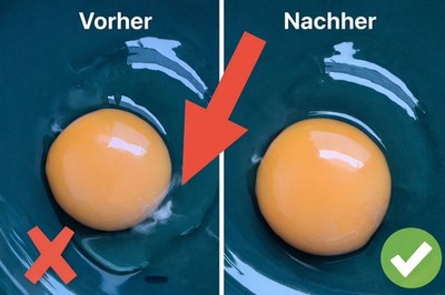 Eizange zum entfernen der Hagelschnur (Chalaza) oder Eirschalen aus dem Hühnerei