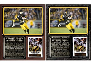 84 pittsburgh steelers