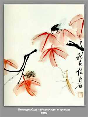 Qi Baishi Foto A4 Likvidambra Taiwan und die Zikade 1950