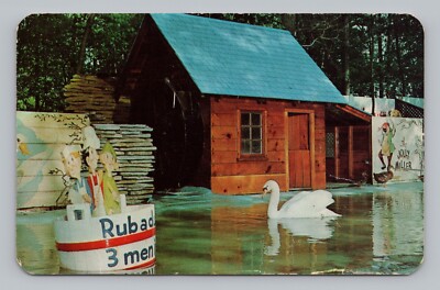 Postcard Swan Deep Forest at Paw Paw Lakes Coloma Michigan