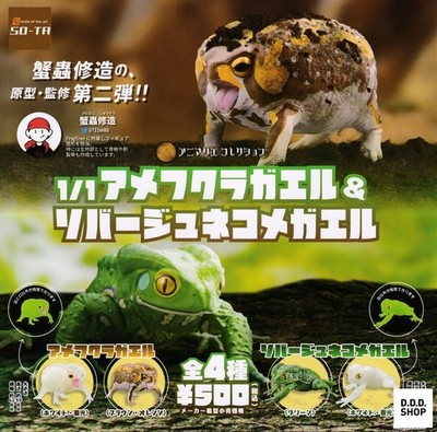 1/1 American Frog Sauvage Katzenfrosch alle 4 verschiedene Set Gashapon