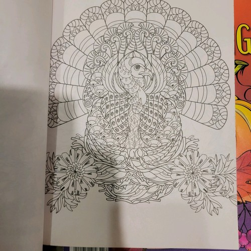 Coloring Thanksgiving MAGAZINE 2025 Adult Coloring Book ~ 47 Prints To Color - Picture 3 of 8