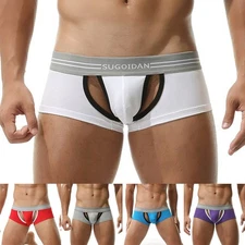 Underwear Briefs Panties Sexy Sheer Shorts Spandex Stretchy Underpants