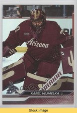 2023-24 Upper Deck Series 2 Silver Foil Karel Vejmelka #263 READ uk2