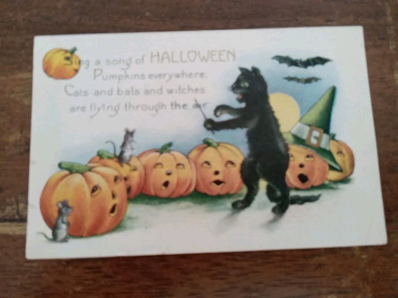 HALLOWEEN BLACK CAT DIRECTING SINGING PUMPKINS POSTCARD Whitney