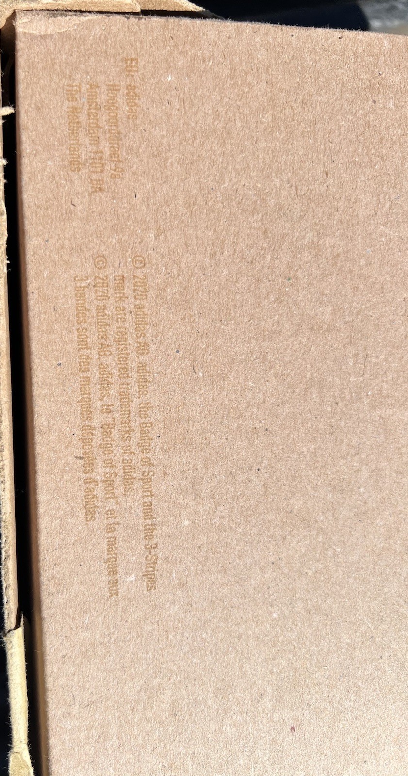 Picture 6 of 6
