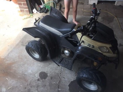 gumtree quads