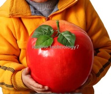 HUGE ARTIFICIAL APPLE FRUIT FAKE FAUX VEGETABLES CHILDREN HOUSE TEACHING PROPS R