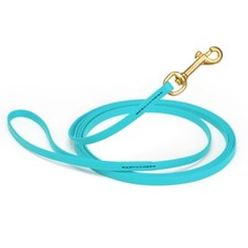 Dog Pet Leash Sky Blue w/ Brass Hardware W 3/8" - L10'