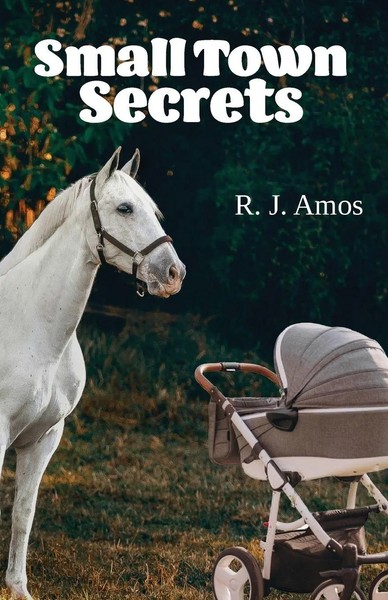 Small Town Secrets R. J. Amos Taschenbuch Small Town Englisch 2026 Ruth Amos-image