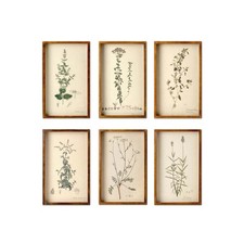 Antique-Style Framed Botanical Wall Art Set of 6