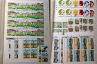 Foto 9 di 10