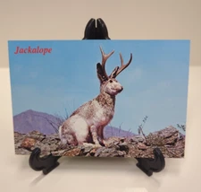 Four (4) 5" Black Display Stands Foldable Currency Postcard Plate Game Stand