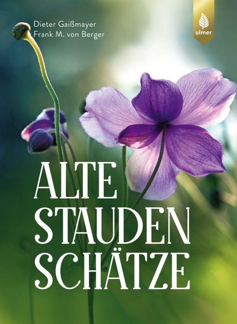 Standardbild