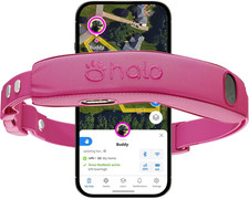 Halo Collar 5 GPS Wireless Dog Fence, Orchid