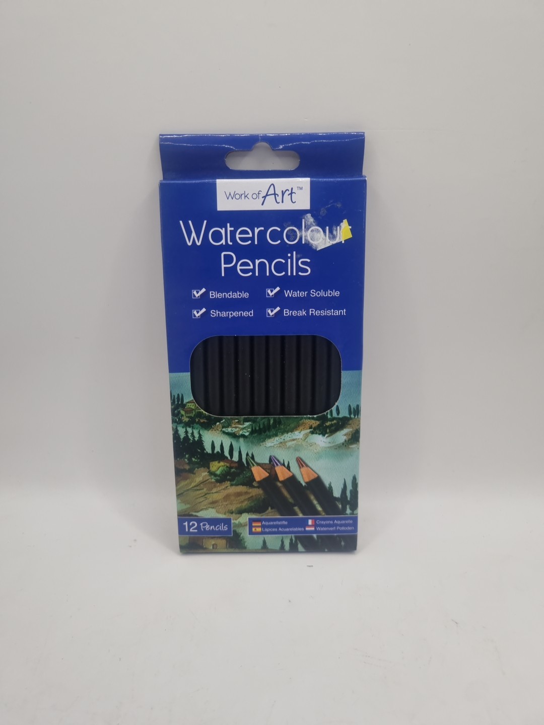 12 Watercolour Pencils Set Artist Drawing Painting Sketching Art Water Colour UK