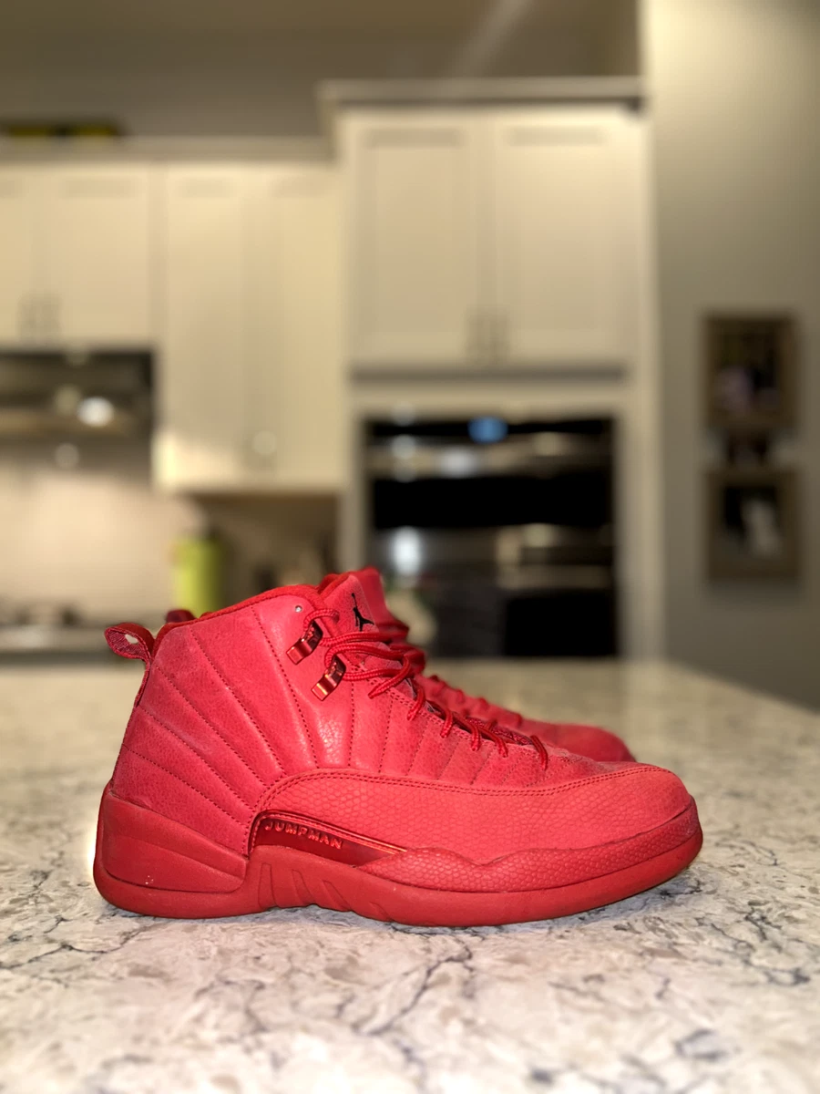 Jordan 12 Retro Gym Red 2018 for sale | Authenticity  display picture 2