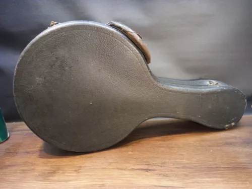 1920s-40s Bull's Head Banjo Mandolin  Banjolin Case