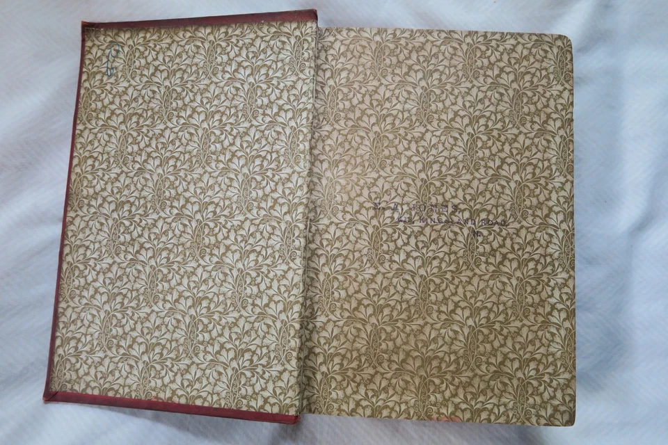 1883 Life on the Mississippi Mark Twain Illustrated 1st U.K. Edition! Foto 4 de 4